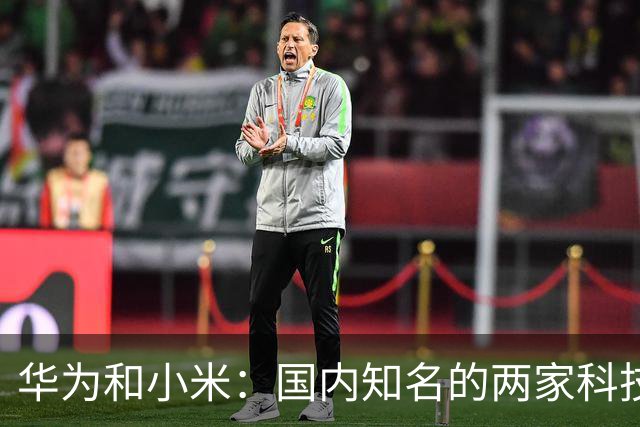 华为和小米：国内知名的两家科技公司，从产品端到粉丝端，良性竞争演变为对立攻击，互联网时代的超级饭圈文化（上）